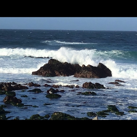 Meet your Posher, Eli - Picture 1 of 1